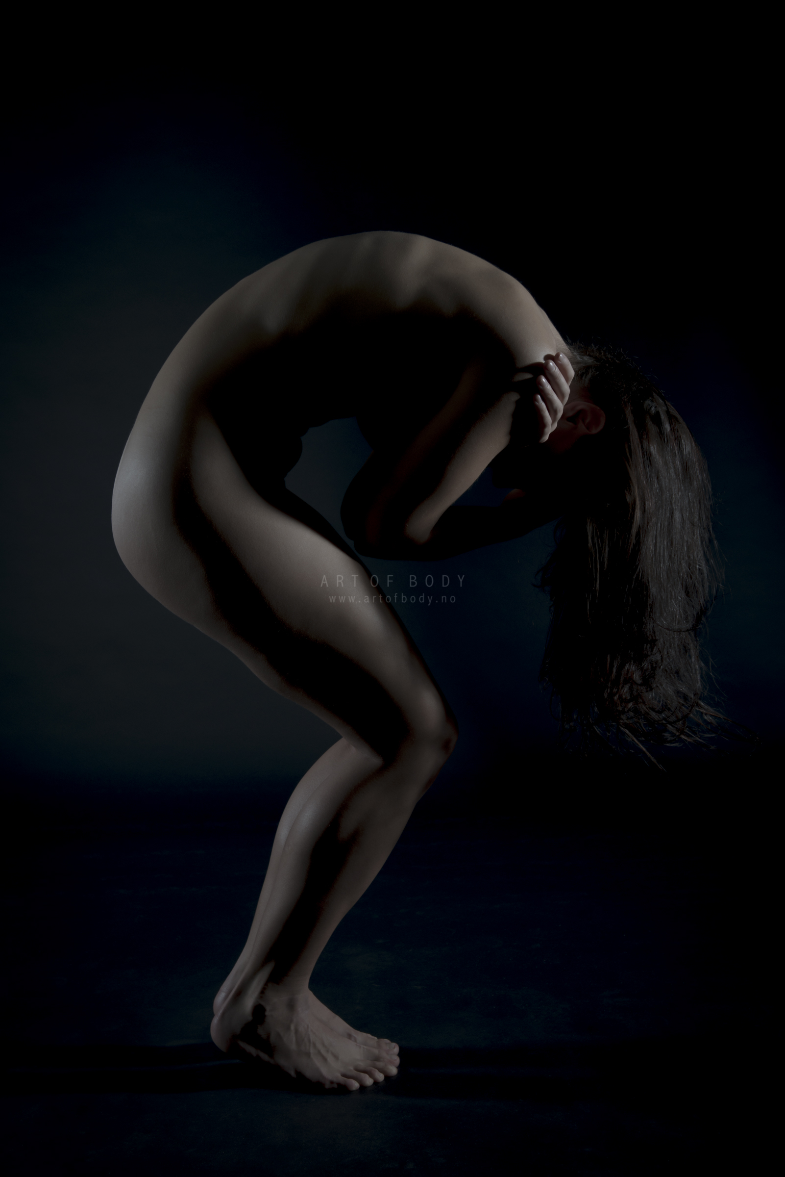 Art Of Body - Aktfoto